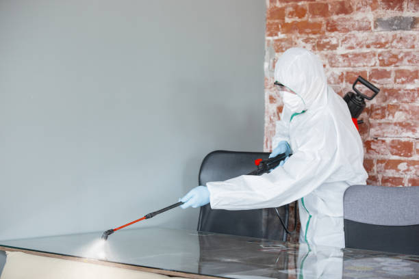 Mold Odor Removal Services in Pine Bush, NY